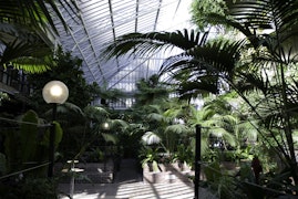 Barbican Centre - The Conservatory image 9